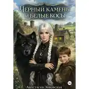 Постер книги Черный камень и белые косы