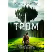 Постер книги ТРОМ