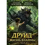 Постер книги Друид. Жизнь взаймы