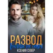 Постер книги Развод. Больше не семья