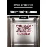 Постер книги Лифт бифуркации. Рассказ