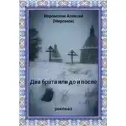Постер книги Два брата или до и после