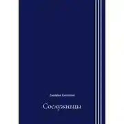 Постер книги Сослуживцы