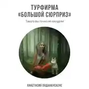 Постер книги Турфирма «Большой сюрприз»