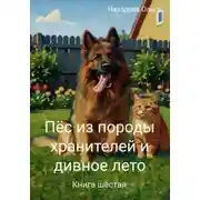 Постер книги Пёс из породы хранителей и дивное лето