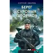 Постер книги Берег суровых штормов