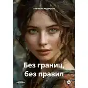Постер книги Без границ, без правил