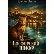 Постер книги Босфорский шифр