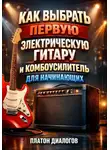 Платон Диалогов - Как выбрать первую электрическую гитару и комбоусилитель для начинающих