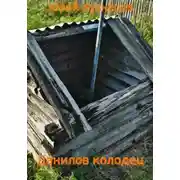 Постер книги Данилов колодец