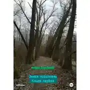 Постер книги Энная параллель