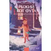 Постер книги Рыжий кот Фута и затерянный домик в горах