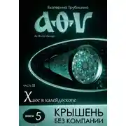 Постер книги Крышень без компании. Аз Фита Ижица. Часть II. Хаос в калейдоскопе. Книга 5