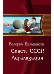 Валерий Большаков - Легализация
