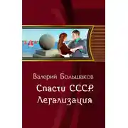 Постер книги Легализация