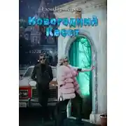 Постер книги Новогодний квест