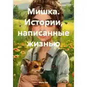 Постер книги Мишка. Истории, написанные жизнью