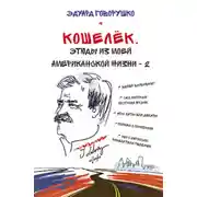 Постер книги Кошелёк. Этюды из моей американской жизни – 2