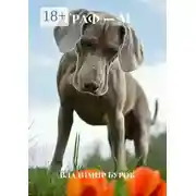 Постер книги Граф – М