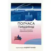 Постер книги Полчаса тишины. Эссе о Боге, человеке, современной культуре