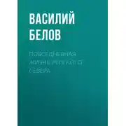 Постер книги Повседневная жизнь русского Севера