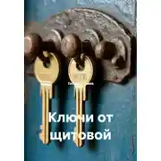Постер книги Ключи от щитовой