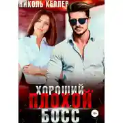 Постер книги Хороший плохой босс