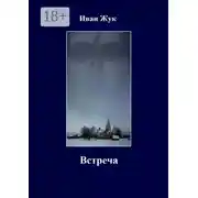 Постер книги Встреча