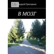 Постер книги В мозг