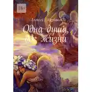 Постер книги Одна душа, две жизни