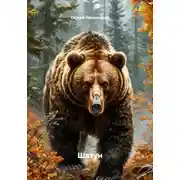 Постер книги Шатун