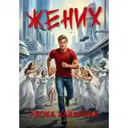 Постер книги Жених