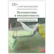 Постер книги Путешествие в неизвестность. Приключенческий роман