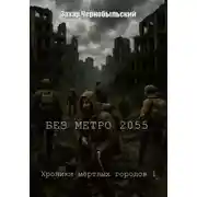 Постер книги Без метро 2055. Хроники мёртвых городов 1