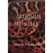 Постер книги Анатомия Мотылька