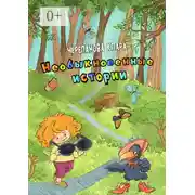 Постер книги Необыкновенные истории