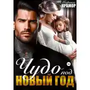 Постер книги Чудо под Новый год