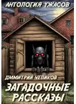 Дмитрий Чепиков - Загадочные рассказы