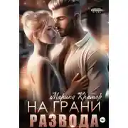 Постер книги На грани развода