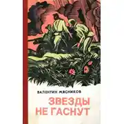 Постер книги Звезды не гаснут