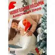 Постер книги Новогодний подарок