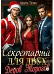 Анита Талая - Секретарша для двух Дедов Морозов