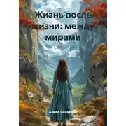 Постер книги Жизнь после жизни: между мирами