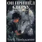 Постер книги Он пришёл сверху. Том II Пробуждение