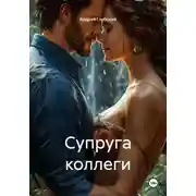 Постер книги Супруга коллеги