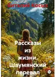 Виталий Косых - Рассказы из жизни. Шаумянский перевал