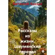 Постер книги Рассказы из жизни. Шаумянский перевал