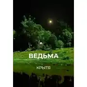 Постер книги Ведьма