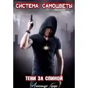 Постер книги Система-Самоцветы: Тени за спиной