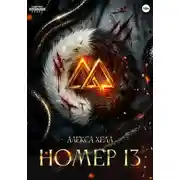 Постер книги Номер 13